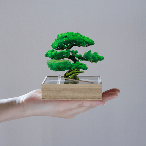mini bonsai 4種セット