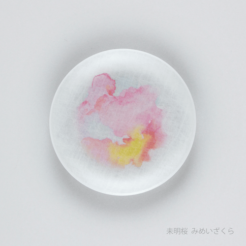 あわいろ まめざら 桜 11cm　未明桜
