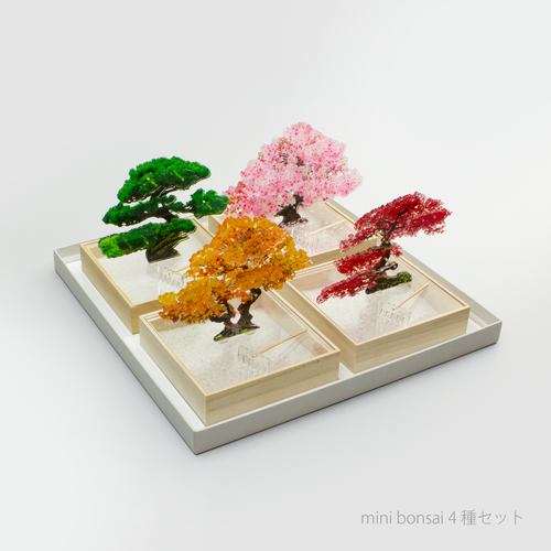 mini bonsai 4種セット