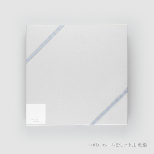 ミニ盆栽　４種セット　箱