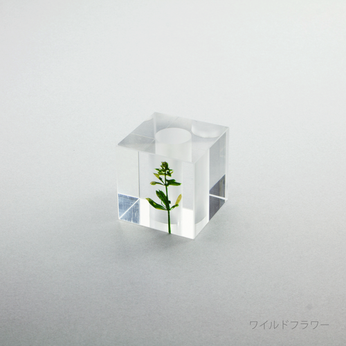 押花 歯ブラシホルダー