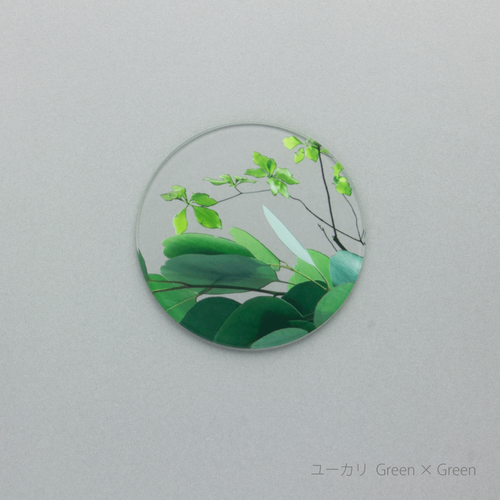 ikebana コースター　ユーカリ Green × Green