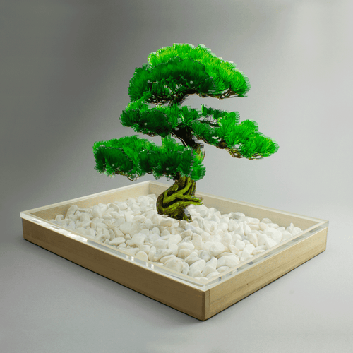 盆栽　松　Mサイズ