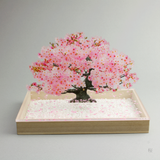 盆栽　桜　Sサイズ
