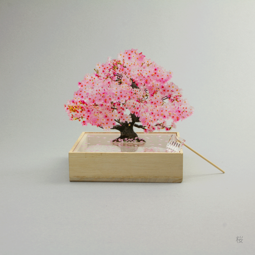 ミニ盆栽　桜