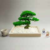 盆栽　松　Sサイズ