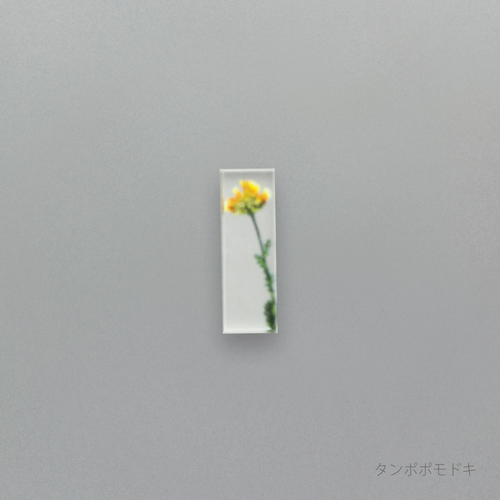 押花 はしおき 単品