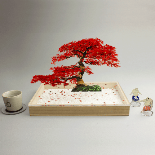 盆栽　もみじ　Sサイズ