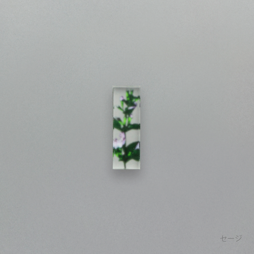 押花 はしおき 単品