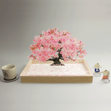 盆栽　桜　Sサイズ