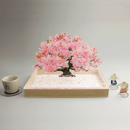 盆栽　桜　Sサイズ