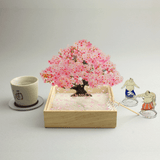 ミニ盆栽　桜