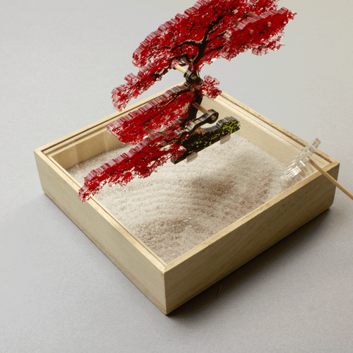 ミニ盆栽　もみじ