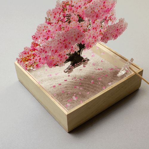 ミニ盆栽　桜