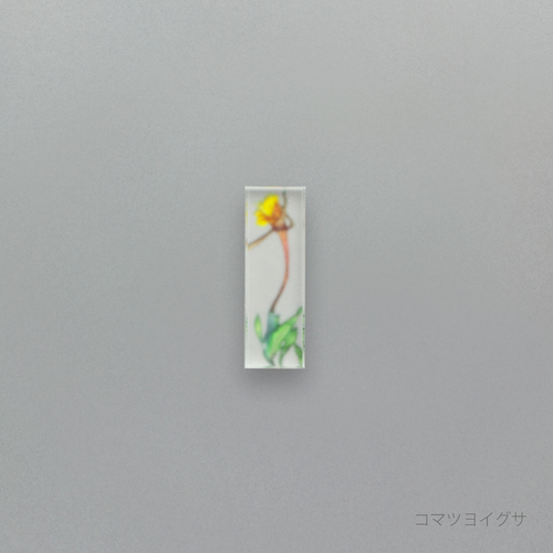 押花 はしおき 単品