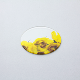 ikebana コースター　シンビジウム Yellow × Gold