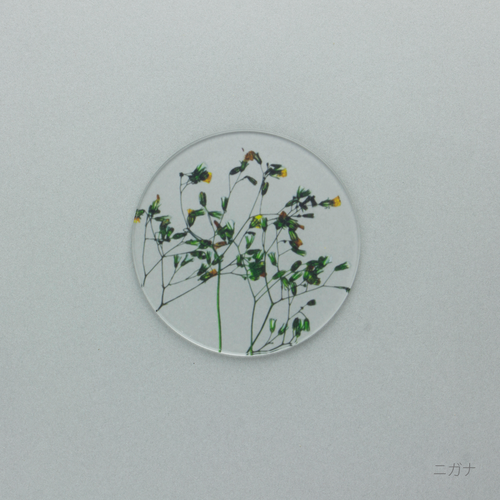 押花 コースター 単品