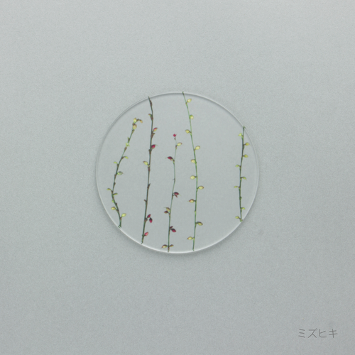 押花 コースター 単品