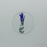 押花 コースター 単品