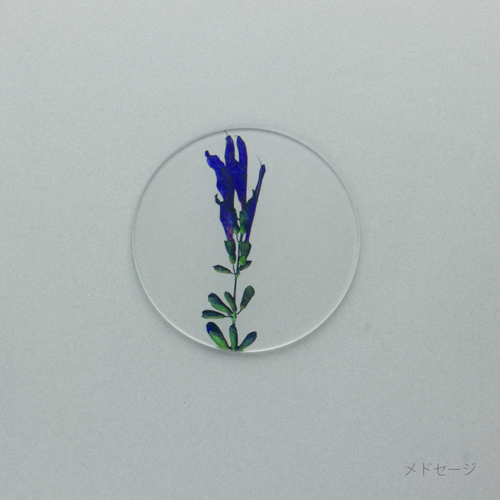 押花 コースター 単品