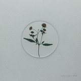 押花 コースター 単品