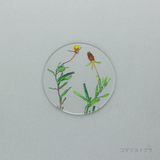 押花 コースター 単品