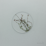 押花 コースター 単品