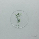 押花 コースター 単品