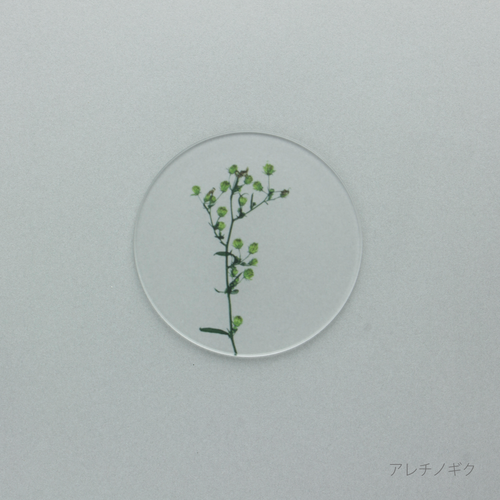 押花 コースター 単品