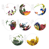 ikebana コースター　柄一覧