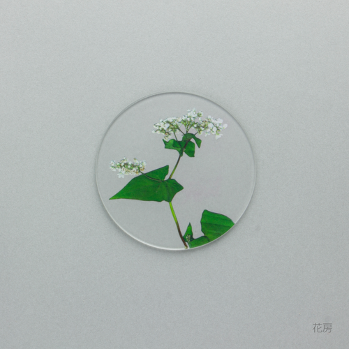 そばの花 コースター　花房