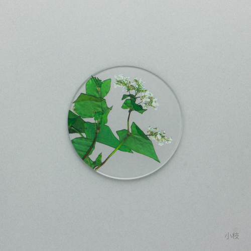 そばの花 コースター　小枝
