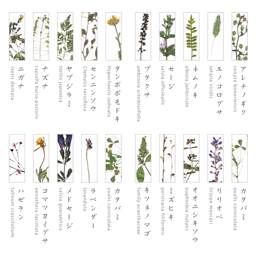 押花 はしおき 単品