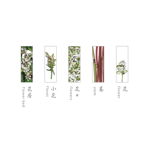 そばの花　箸置き　柄一覧